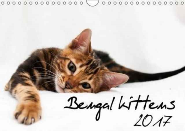 Bengal Kittens 2017 2017 : Wonderful Moments with Bengal Kittens, Calendar Book