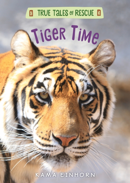 Tiger Time, Hardback Book