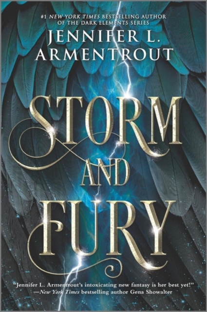Storm and Fury, Paperback / softback Book