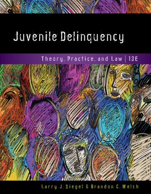 Juvenile Delinquency : Theory, Practice, and Law, Hardback Book