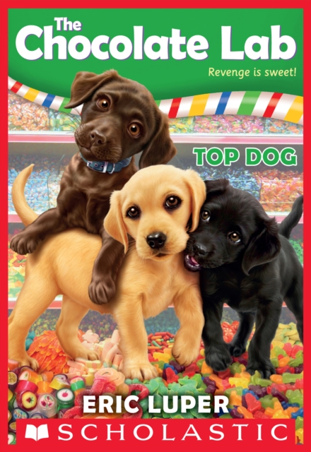 Top Dog, EPUB eBook