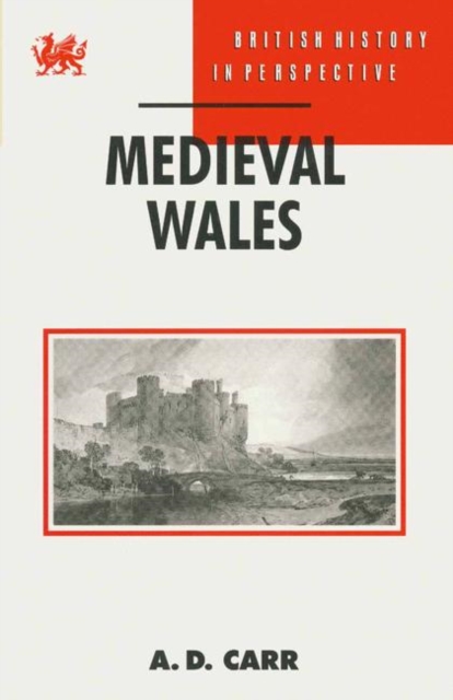 Medieval Wales, PDF eBook