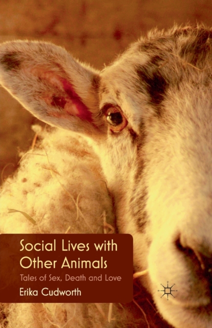 Social Lives with Other Animals : Tales of Sex, Death and Love, Paperback / softback Book