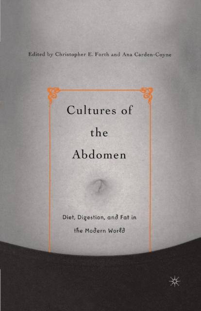Cultures of the Abdomen : Diet, Digestion, and Fat in the Modern World, Paperback / softback Book