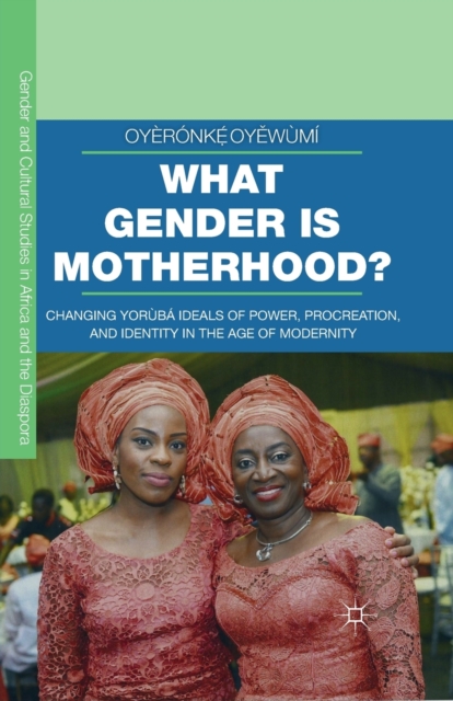 What Gender is Motherhood? : Changing Yoruba Ideals of Power, Procreation, and Identity in the Age of Modernity, Paperback / softback Book