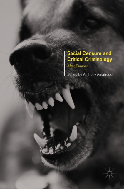 Social Censure and Critical Criminology : After Sumner, EPUB eBook