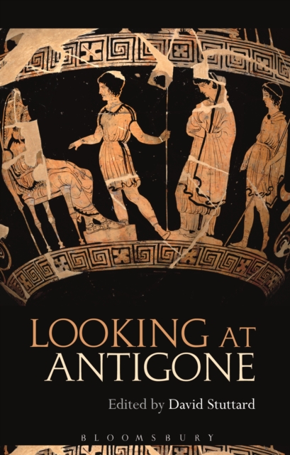Looking at Antigone, PDF eBook