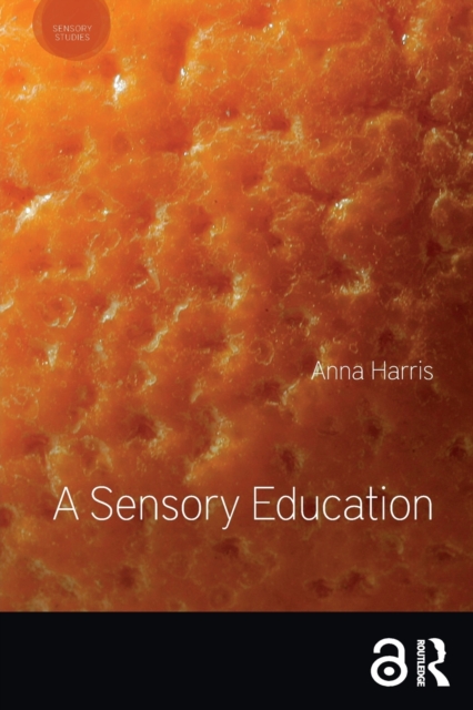A Sensory Education, Paperback / softback Book