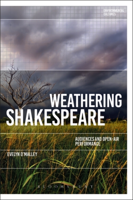 Weathering Shakespeare : Audiences and Open-Air Performance, EPUB eBook