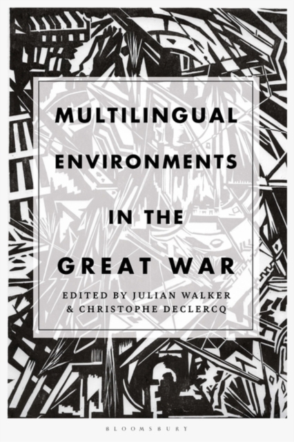 Multilingual Environments in the Great War, PDF eBook