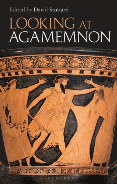 Looking at Agamemnon, Hardback Book