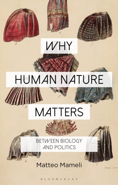 Why Human Nature Matters : Between Biology and Politics, Paperback / softback Book