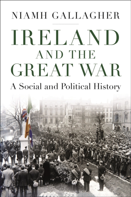 Ireland and the Great War : A Social and Political History, Paperback / softback Book