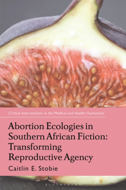 Abortion Ecologies in Southern African Fiction : Transforming Reproductive Agency, Hardback Book
