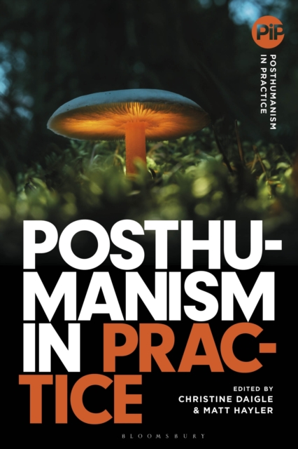 Posthumanism in Practice, PDF eBook
