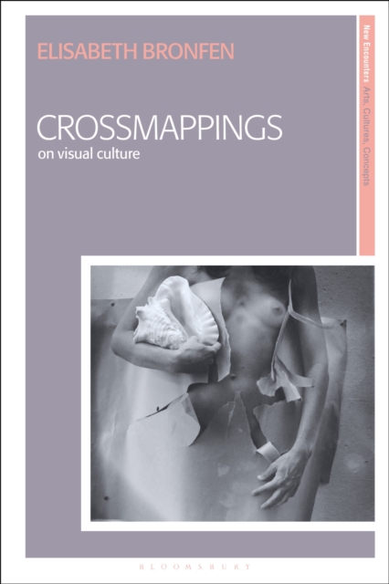 Crossmappings : On Visual Culture, Paperback / softback Book