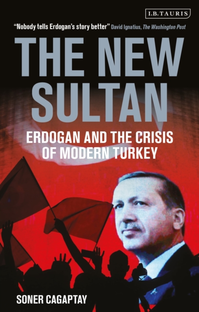 The New Sultan : Erdogan and the Crisis of Modern Turkey, Paperback / softback Book