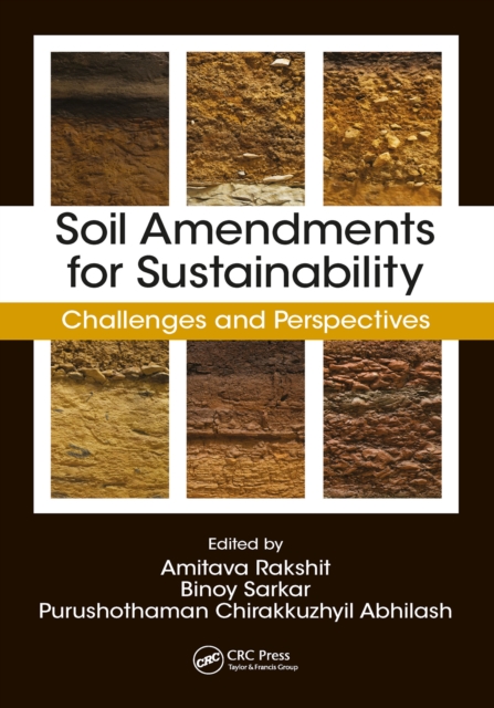 Soil Amendments for Sustainability : Challenges and Perspectives, EPUB eBook