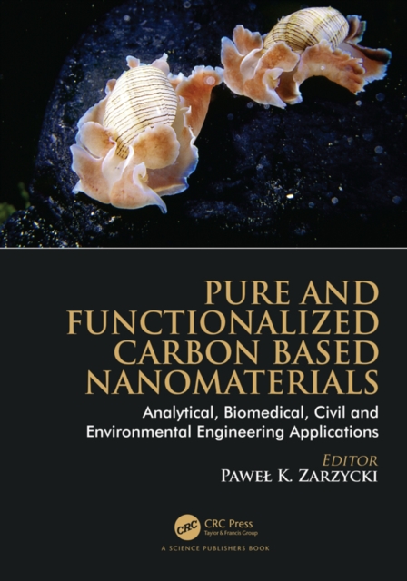 Pure and Functionalized Carbon Based Nanomaterials : Analytical, Biomedical, Civil and Environmental Engineering Applications, PDF eBook