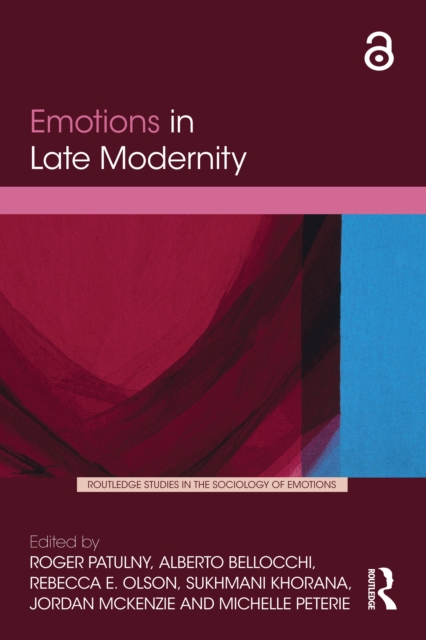 Emotions in Late Modernity, PDF eBook