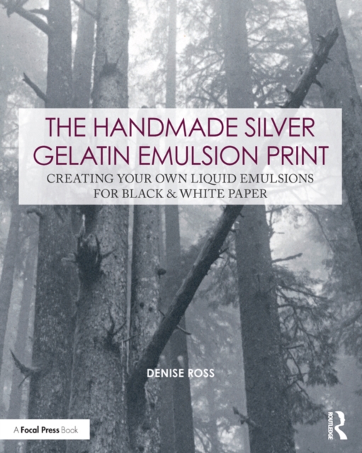 The Handmade Silver Gelatin Emulsion Print : Creating Your Own Liquid Emulsions for Black & White Paper, EPUB eBook