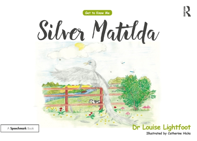 Silver Matilda : Get to Know Me: Depression, PDF eBook
