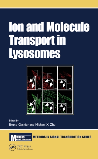 Ion and Molecule Transport in Lysosomes, EPUB eBook