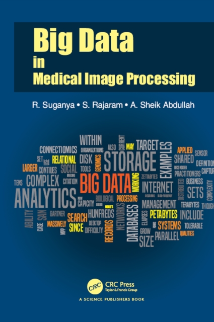 Big Data in Medical Image Processing, EPUB eBook