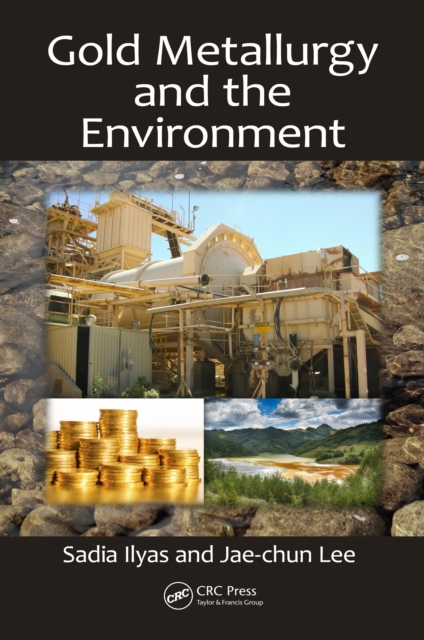 Gold Metallurgy and the Environment, EPUB eBook