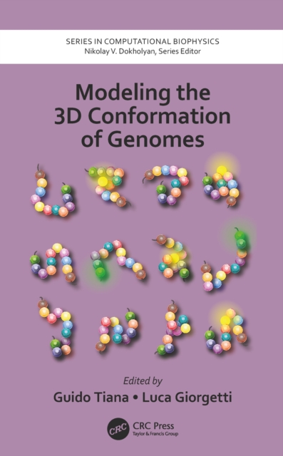 Modeling the 3D Conformation of Genomes, EPUB eBook