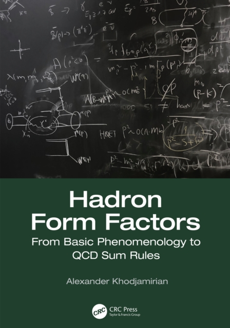 Hadron Form Factors : From Basic Phenomenology to QCD Sum Rules, EPUB eBook