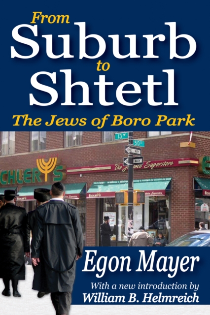 From Suburb to Shtetl : The Jews of Boro Park, PDF eBook