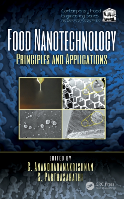Food Nanotechnology : Principles and Applications, EPUB eBook