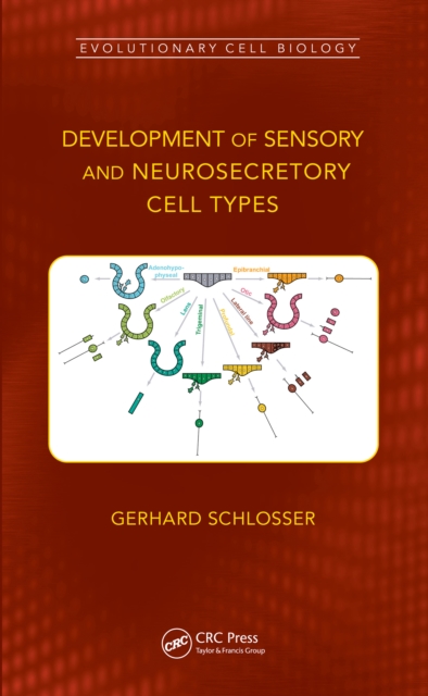 Development of Sensory and Neurosecretory Cell Types : Vertebrate Cranial Placodes, volume 1, EPUB eBook