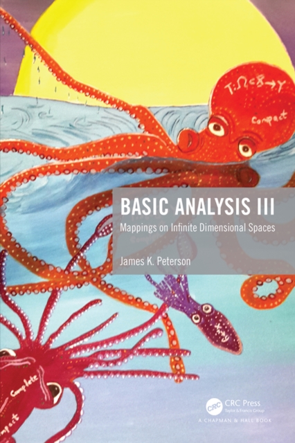 Basic Analysis III : Mappings on Infinite Dimensional Spaces, EPUB eBook