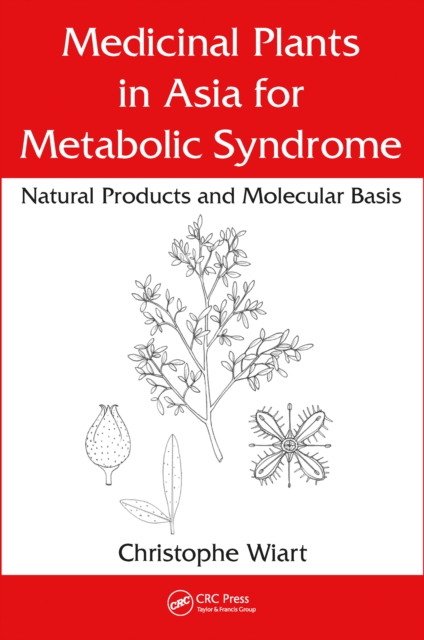 Medicinal Plants in Asia for Metabolic Syndrome : Natural Products and Molecular Basis, EPUB eBook