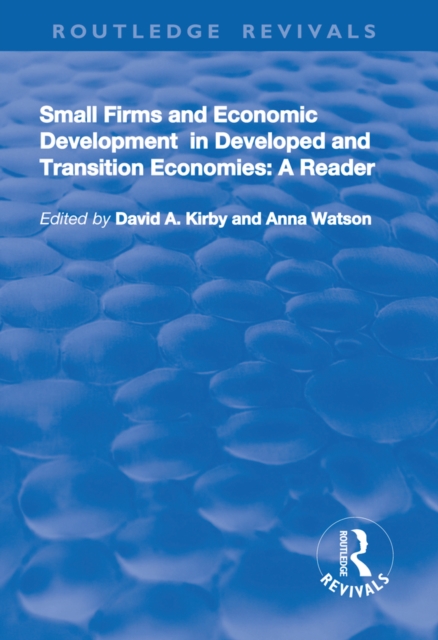 Small Firms and Economic Development in Developed and Transition Economies : A Reader, EPUB eBook