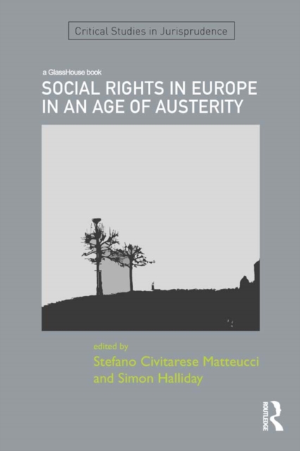 SOCIAL RIGHTS IN EUROPE IN AN AGE OF AUSTERITY, EPUB eBook