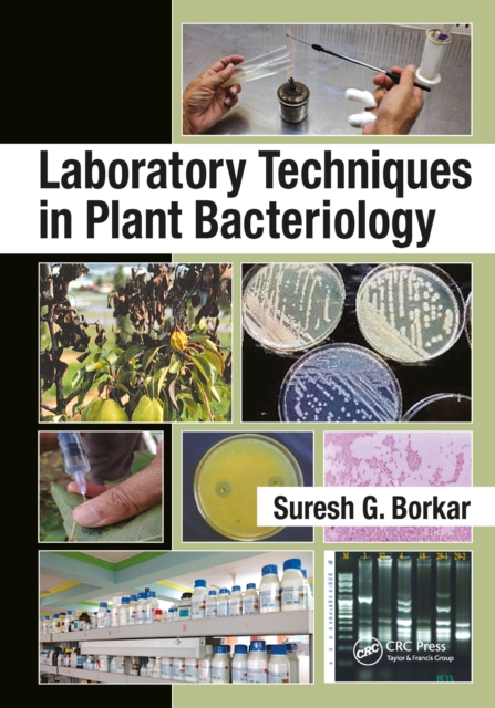 Laboratory Techniques in Plant Bacteriology, EPUB eBook