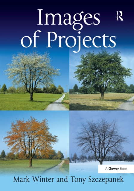 Images of Projects, EPUB eBook