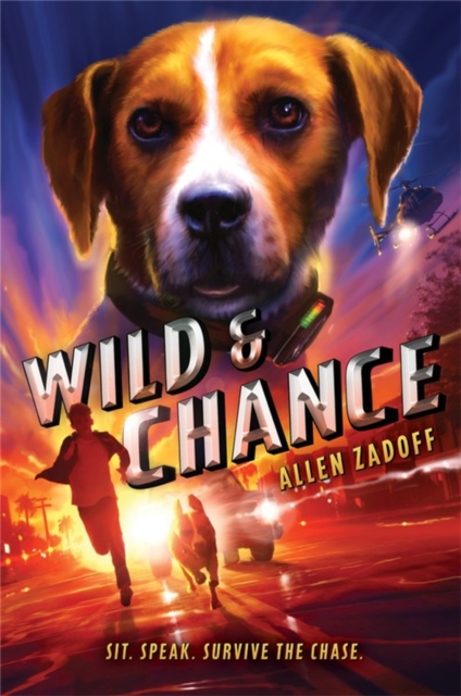 Wild & Chance, Hardback Book