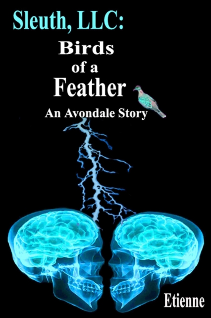 Sleuth LLC: Birds of a Feather, EPUB eBook