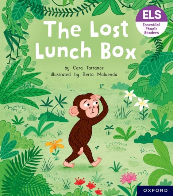 Essential Letters and Sounds: Essential Phonic Readers: Oxford Reading Level 4: The Lost Lunch Box, Paperback / softback Book