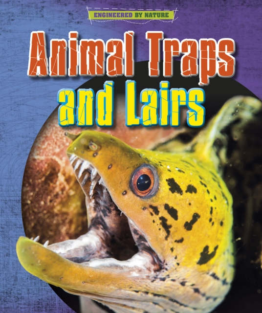 Animal Traps and Lairs, PDF eBook
