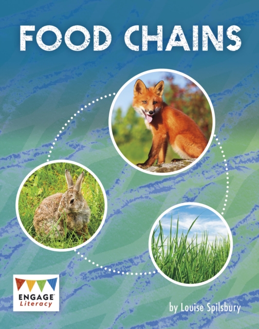Food Chains, Paperback / softback Book
