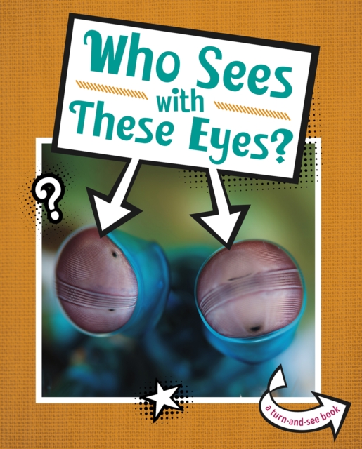 Who Sees With These Eyes?, Paperback / softback Book