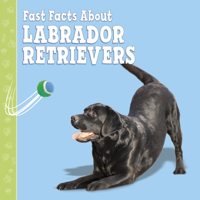 Fast Facts About Labradors, Hardback Book