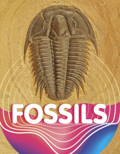 Fossils, Hardback Book