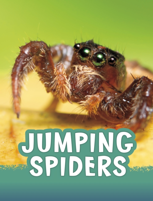Jumping Spiders, Paperback / softback Book