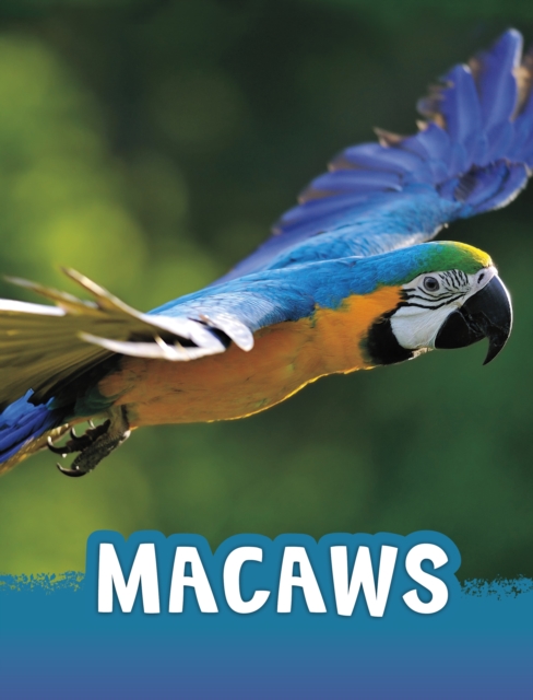 Macaws, Paperback / softback Book